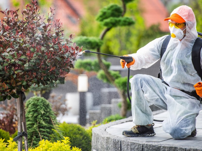 Kabadüz Haşere İlaçlama