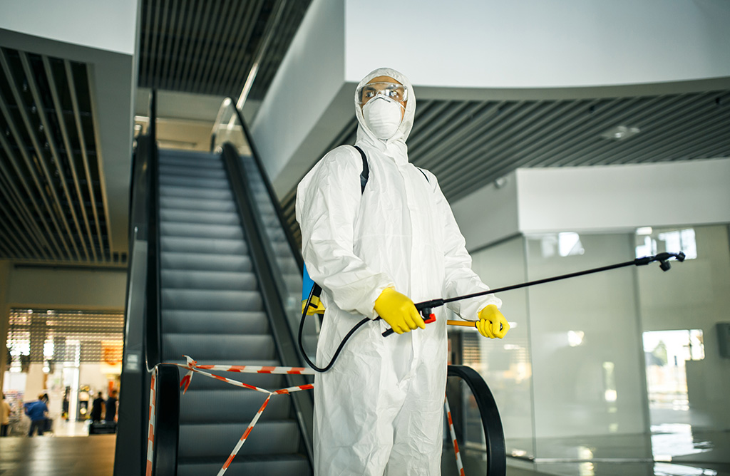 Kabadüz Haşere İlaçlama